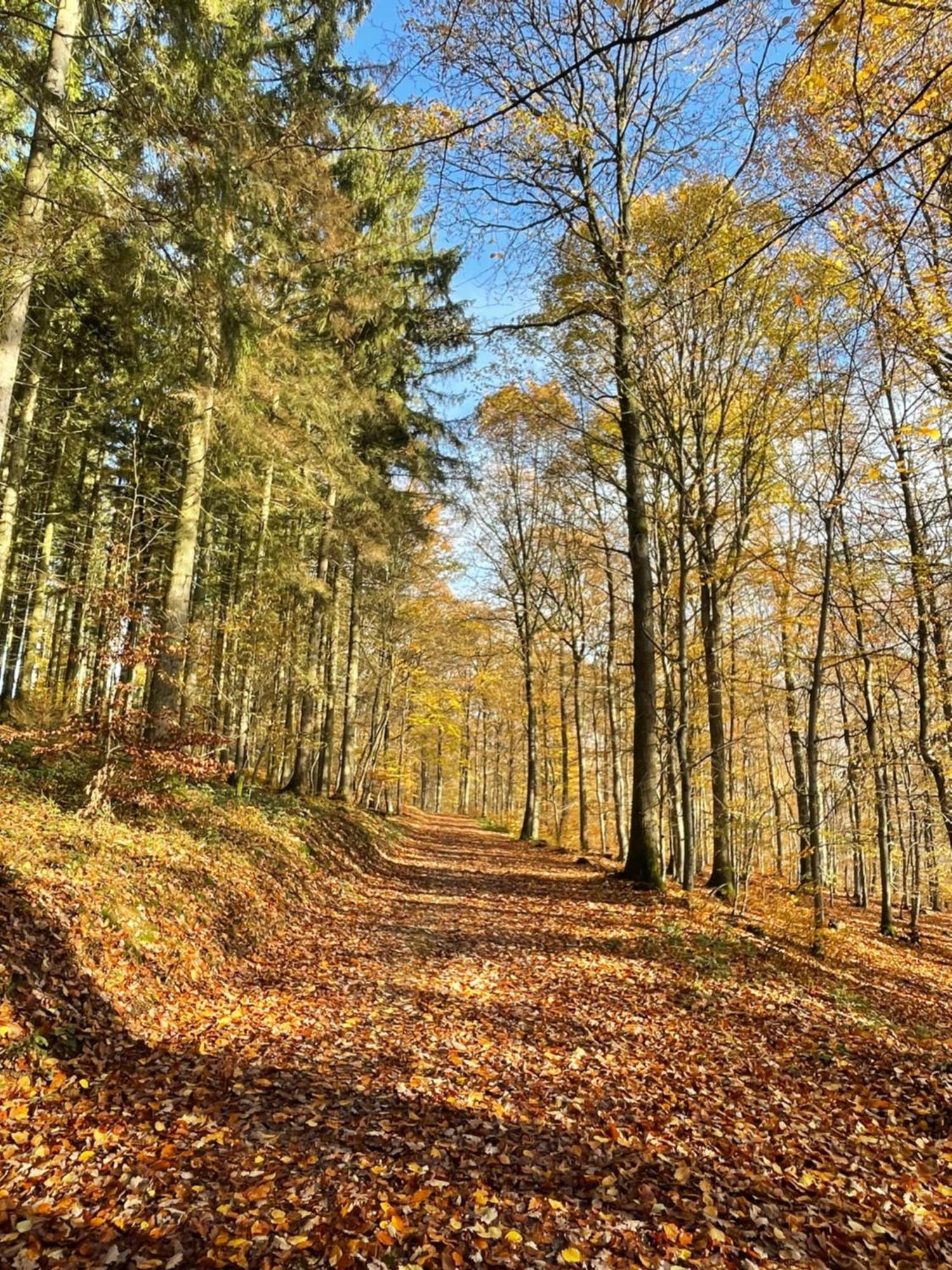 Gaestehaus Ute Mueller Wimbach Esterno foto